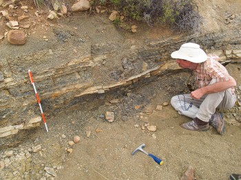 Findings Rock Long-Held Assumptions about Ancient Mass Extinction