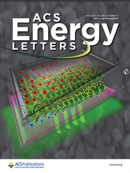 Bright and Effectual Perovskite Light-Emitting Electrochemical Cells Leveraging Ionic Additives