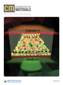 Bright Single-Layer Perovskite Host–Ionic Guest Light-Emitting Electrochemical Cells